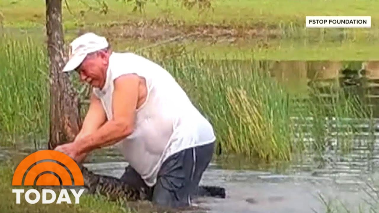 Florida man rescues his puppy from alligator attack.