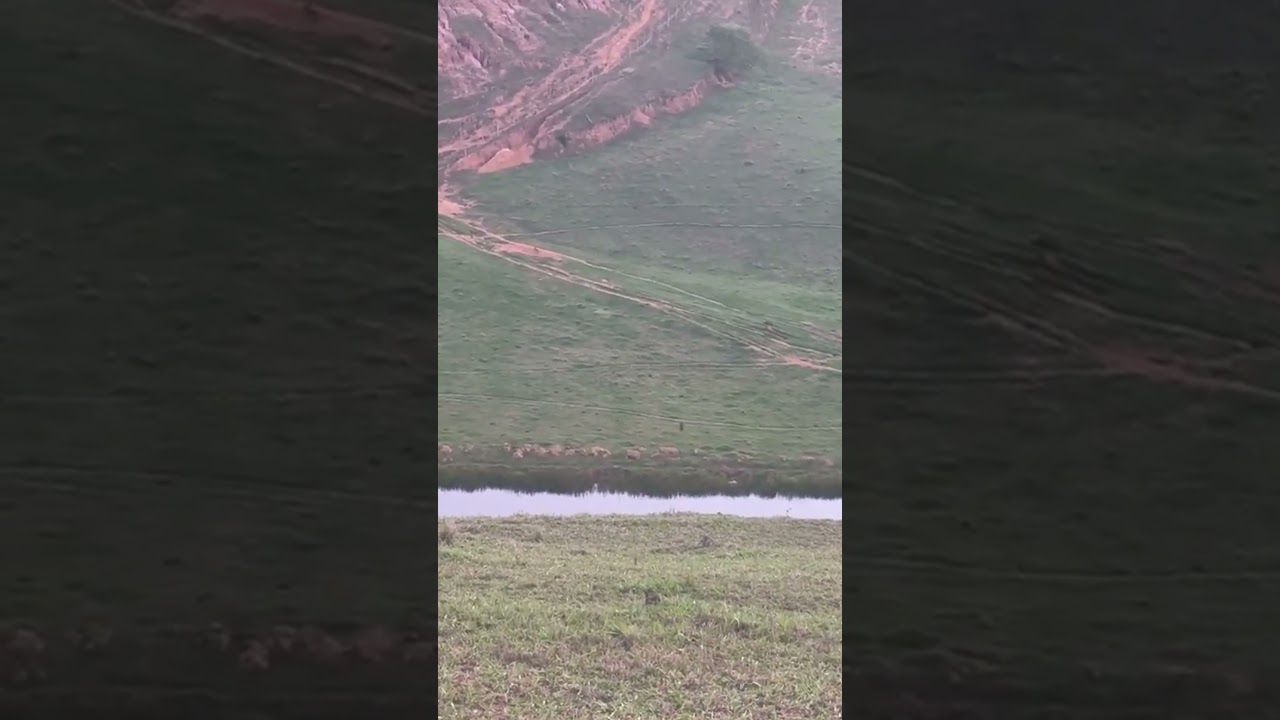 Tire rolls down a mountain.