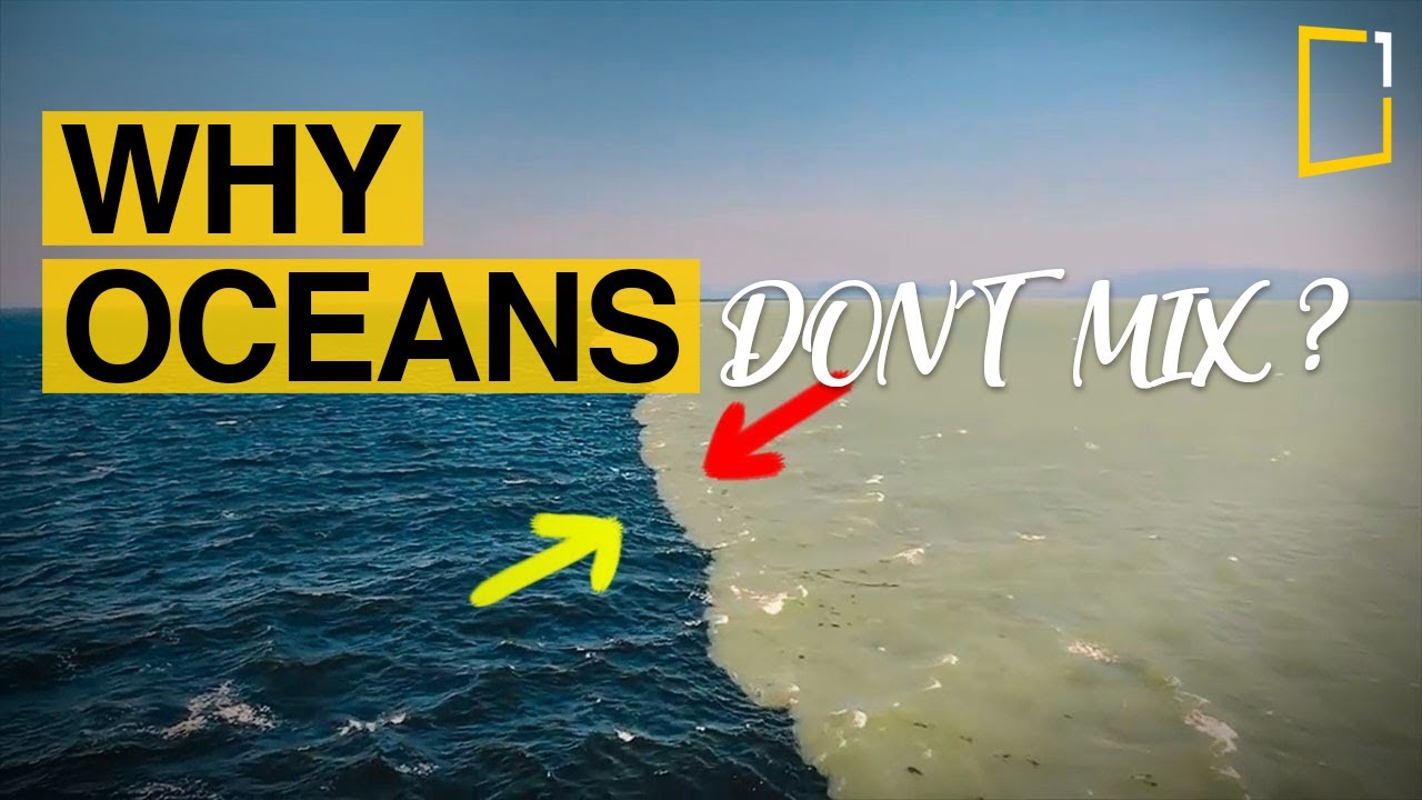 Why Dont The Pacific And Atlantic Oceans Mix Why don't oceans mix?