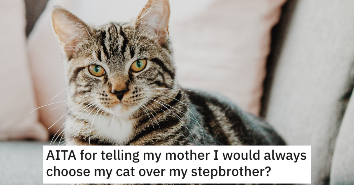 Source: Reddit/AITA/Unsplash/@ejleusink