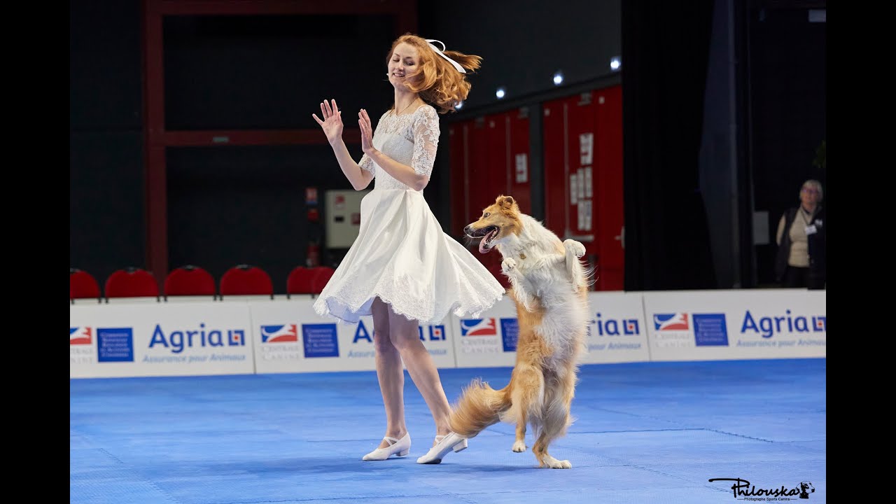 Dog Dancing World Championship 2022.