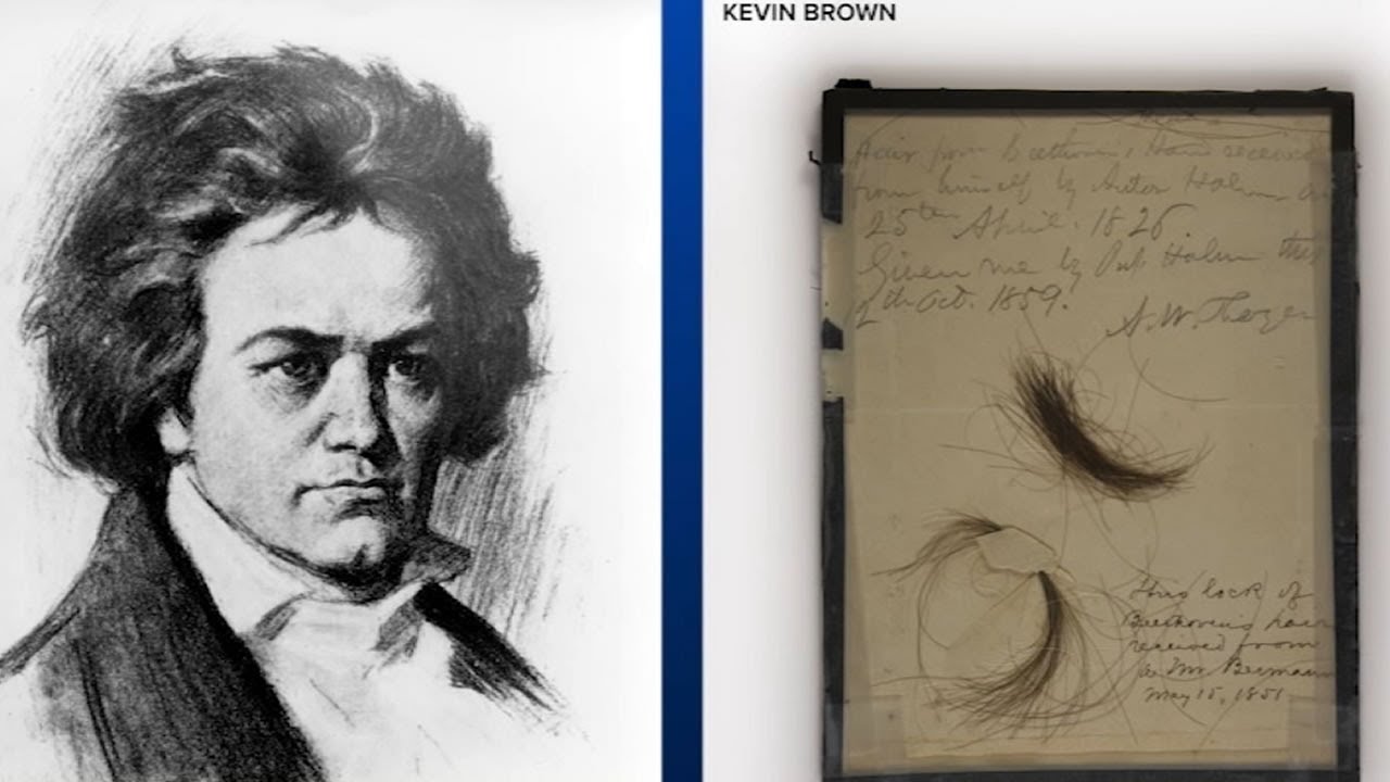 Beethoven s Hair Reveals Composer s Health Secrets beethoven-s-hair-reveals-composer-s-health-secrets