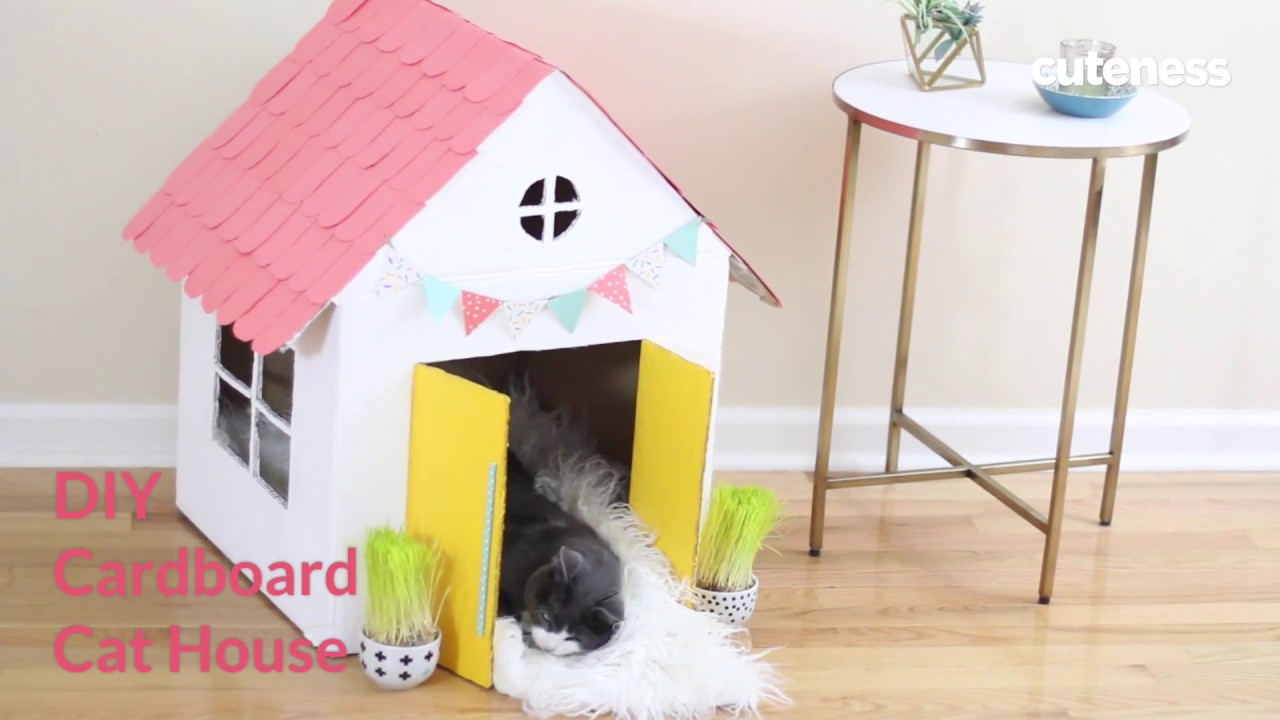 Making a cat house.